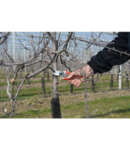 Load image into Gallery viewer, felco pruning shears مقص شحالة